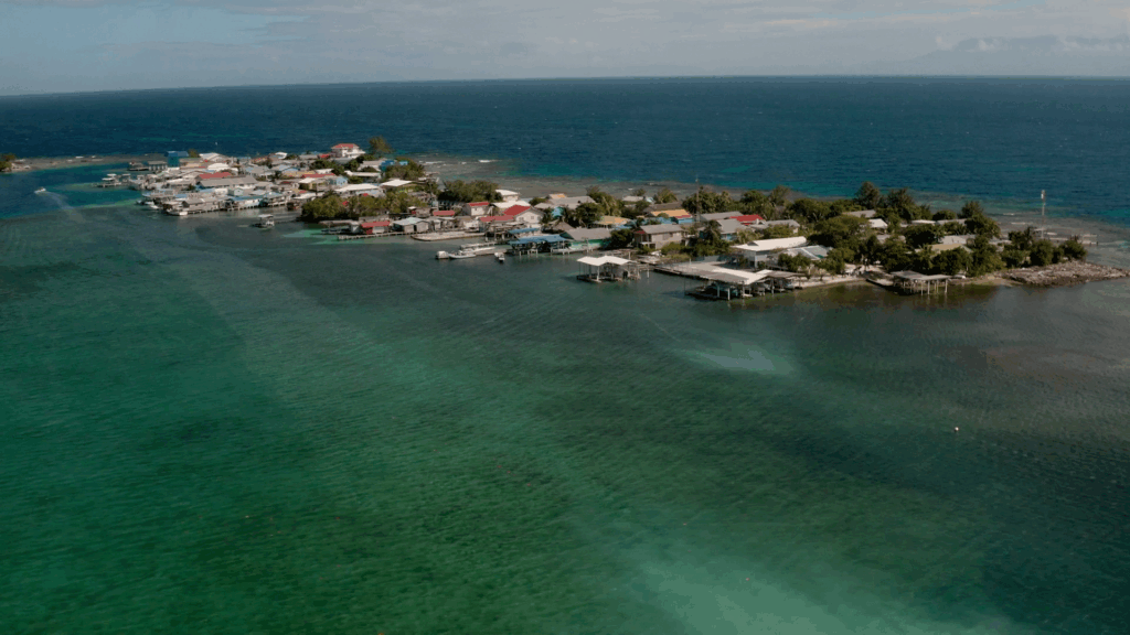 FIB | Pesca Responsable